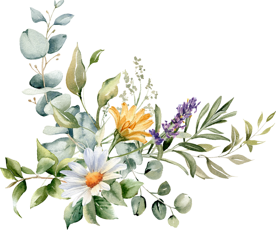 Watercolor flowers and herb bouquet